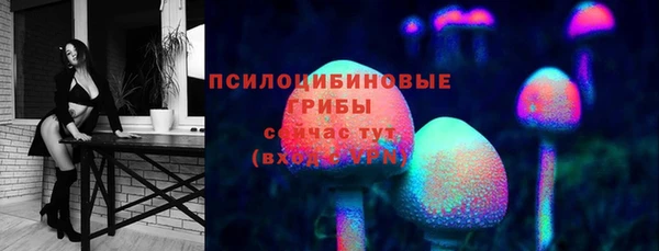 spice Пролетарск